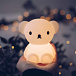 Детская лампа в виде медвежонка Борис &quot;Bundle of Light&quot; Mr Maria | Фото 2