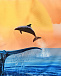 Плавки - шорты принт дельфины на закате Molo | Фото 3