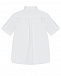 Белая рубашка с короткими рукавами Dolce&Gabbana | Фото 3