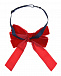 Бордовый галстук-бабочка из бархата Aletta | Фото 3