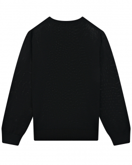 Черный джемпер из тонкой шерсти Dolce&Gabbana Черный, арт. L4KWD4 JBVW5 S9000 | Фото 2