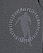 Серые спортивные брюки с лого в тон Bikkembergs | Фото 3