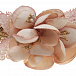 Ободок с цветочным декором, белый/розовый Amaya | Фото 3