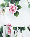 Платье из поплина с принтом &quot;Тропические розы&quot; Dolce&Gabbana | Фото 4