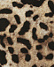 Леггинсы с леопардовым принтом Dolce&Gabbana | Фото 3