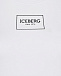 Однотонная футболка с принтом Bugs Bunny Iceberg | Фото 3