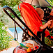 Ткань для прогулочного блока для коляски PRIAM III Autumn Gold CYBEX | Фото 7