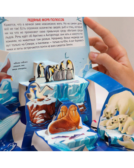 Книжка-панорамка Моря и океаны, POP UP энциклопедия Malamalama , арт. 9785001340959 | Фото 2