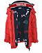 Пуховая куртка с логотипом Dolce&Gabbana | Фото 3