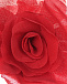 Красная брошь с розой Philosophy Di Lorenzo Serafini | Фото 3