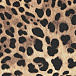 Одеяло с леопардовым принтом, 76x78 см Dolce&Gabbana | Фото 3