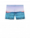 Плавки-шорты Norton Placed &quot;Ocean Explore&quot; Molo | Фото 2