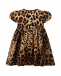 Леопардовое платье с шортиками Dolce&Gabbana | Фото 1