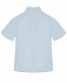 Голубая рубашка с короткими рукавами slim Silver Spoon | Фото 3