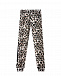 Леопардовые спортивные брюки Philipp Plein | Фото 2