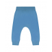 Голубые спортивные брюки Sammy Molo | Фото 1