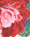 Толстовка с цветочным принтом Molo | Фото 3