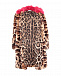 Шуба с леопардовым принтом Dolce&Gabbana | Фото 3
