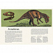 Книга Динозавриум Махаон | Фото 6