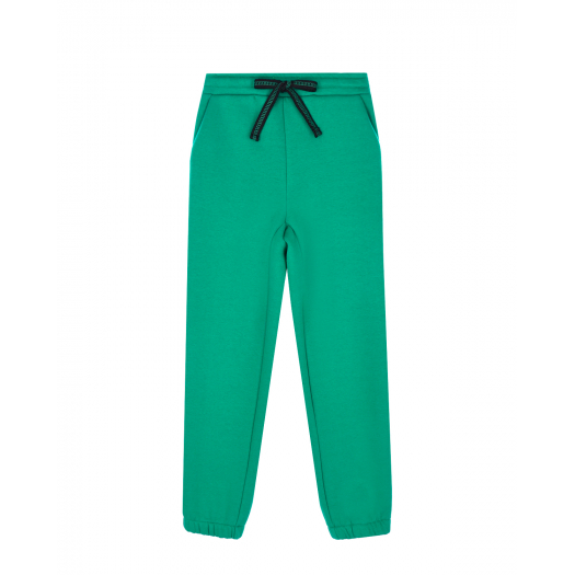 Зеленые спортивные брюки Dan Maralex | Фото 1