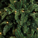 Ель TRIUMPH &quot;Нормандия&quot; стройная 230 см, 312 лампы, темно-зеленая  | Фото 3