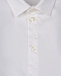 Белая рубашка с жаккардовым лого Emporio Armani | Фото 3