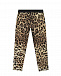 Леггинсы с леопардовым принтом Dolce&Gabbana | Фото 2