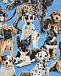 Голубая футболка Emmet Pups Molo | Фото 3