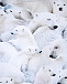 Свитшот Polar Bear с рукавами-реглан Molo | Фото 3
