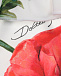 Раздельный купальник с принтом &quot;маки&quot; Dolce&Gabbana | Фото 3