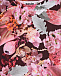 Свитшот с цветочным принтом Molo | Фото 3