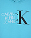 Голубая толстовка-худи с белым логотипом Calvin Klein | Фото 4