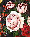 Бархатное платье с цветочным принтом Dolce&Gabbana | Фото 4