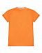 Футболка с лого, оранжевая Dolce&Gabbana | Фото 2