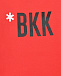 Красный свитшот с черным лого Bikkembergs | Фото 3