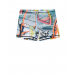 Плавки-шорты Norton Windsurfers Molo | Фото 1