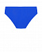 Синие плавки с логотипом Diesel | Фото 2