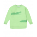 Зеленый свитшот с принтом &quot;крокодилы&quot; Sanetta Kidswear | Фото 1