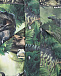 Комбинезон Polaris Fur Dino Forest Molo | Фото 3