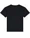 Черная футболка с белым принтом &quot;медвежонок&quot; Moschino | Фото 2