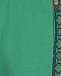 Зеленые спортивные брюки с лампасами Roberto Cavalli | Фото 3