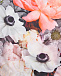 Толстовка Blossom с рукавами-реглан Molo | Фото 3