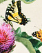 Брюки спортивные цветочный принт с бабочками Molo | Фото 3