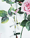 Платье из поплина с принтом &quot;Тропические розы&quot; Dolce&Gabbana | Фото 3