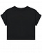 Черная футболка с контрастным лого Dolce&Gabbana | Фото 2