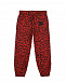 Красные спортивные брюки с леопардовым принтом Dolce&Gabbana | Фото 2