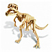 Набор Раскопай скелет. Тираннозавр. 4M | Фото 2