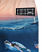Шорты для купания Nario &quot;Sea Turtle Sunset&quot; Molo | Фото 3