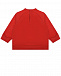 Красный свитшот с принтом &quot;леопард&quot; Dolce&Gabbana | Фото 2