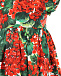 Платье и штанишки с принтом &quot;герань&quot; Dolce&Gabbana | Фото 5